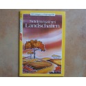 Seidenmalerei Landschaften