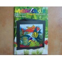 Window Colour kunterbunt
